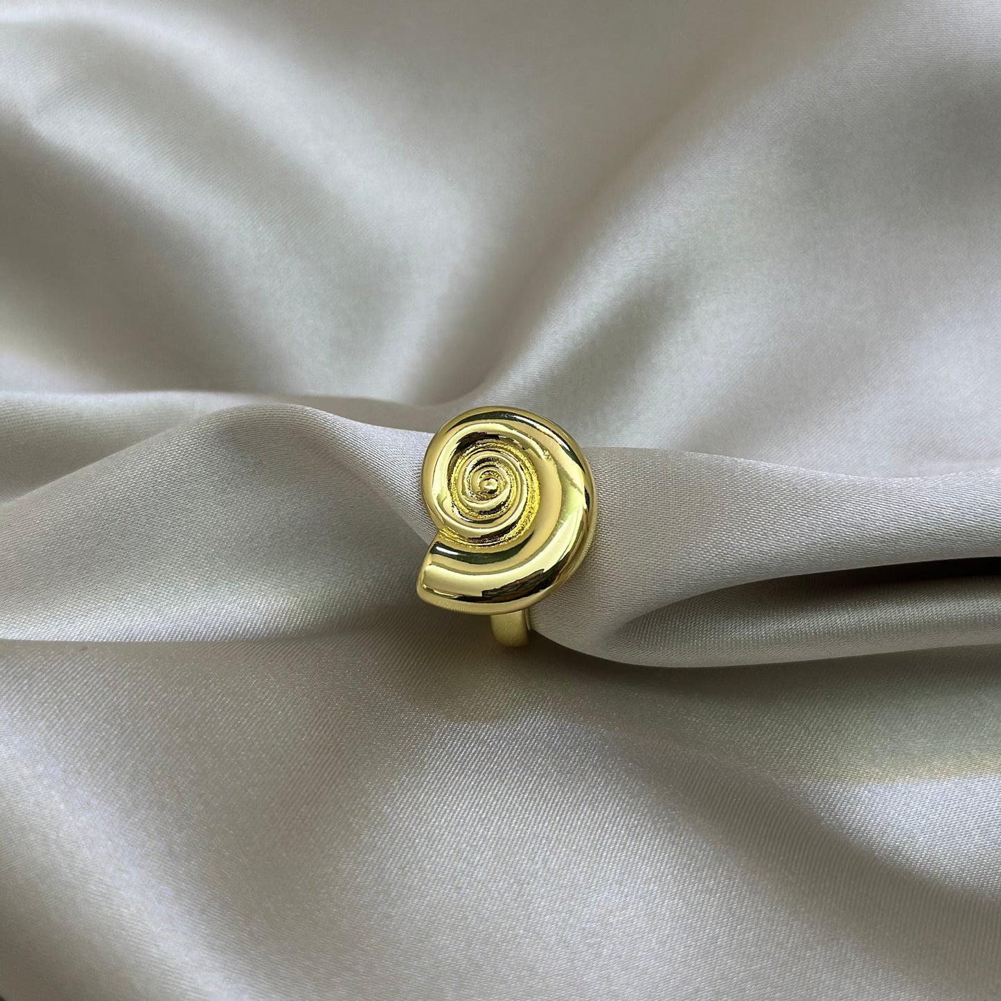 Anillo Caracol