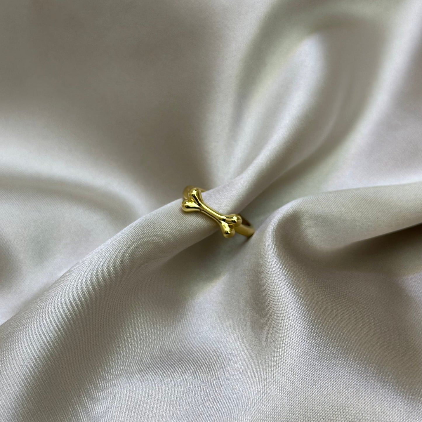 Anillo Huesito