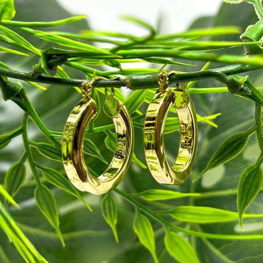 Arracadas Olimpia Doradas