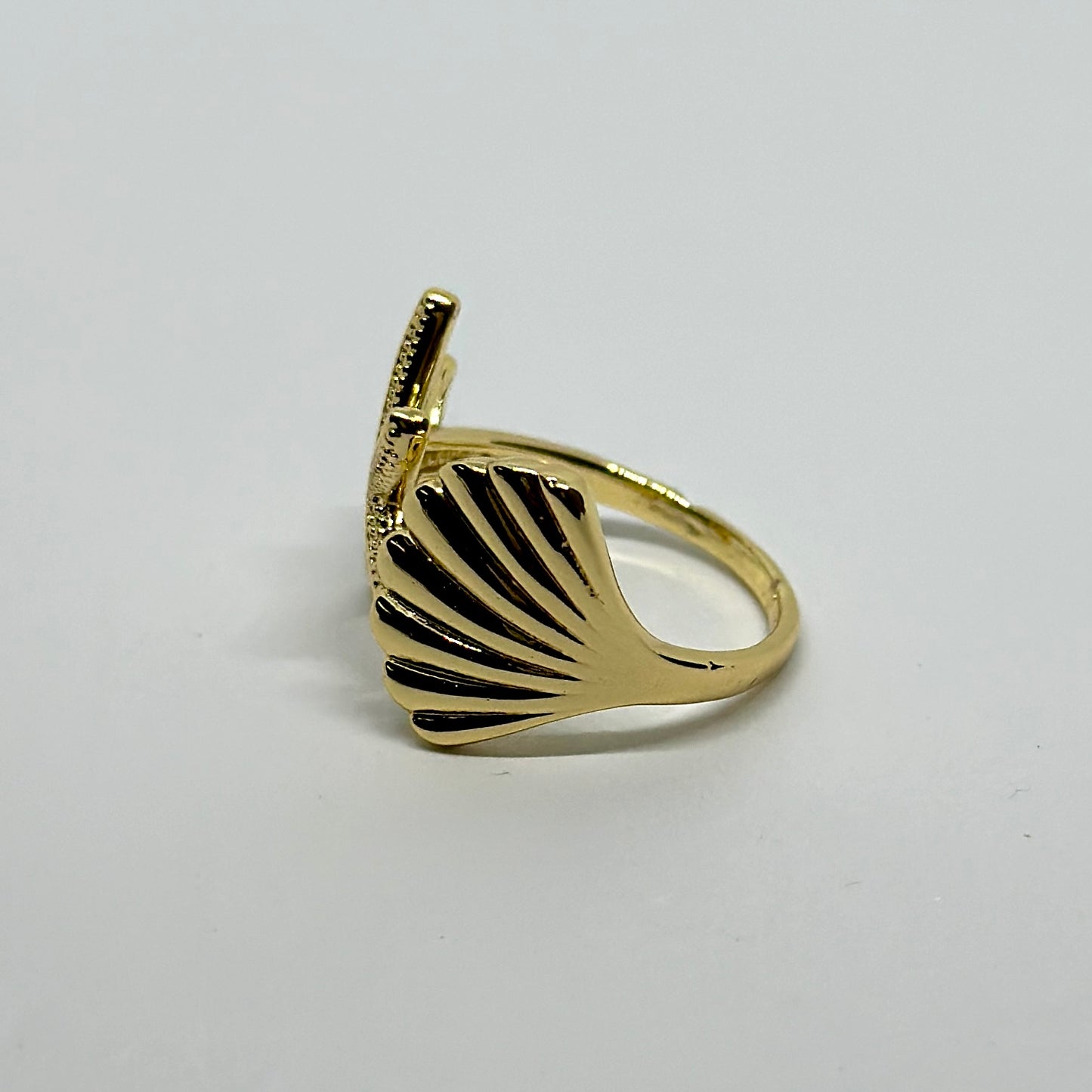 Anillo Mar