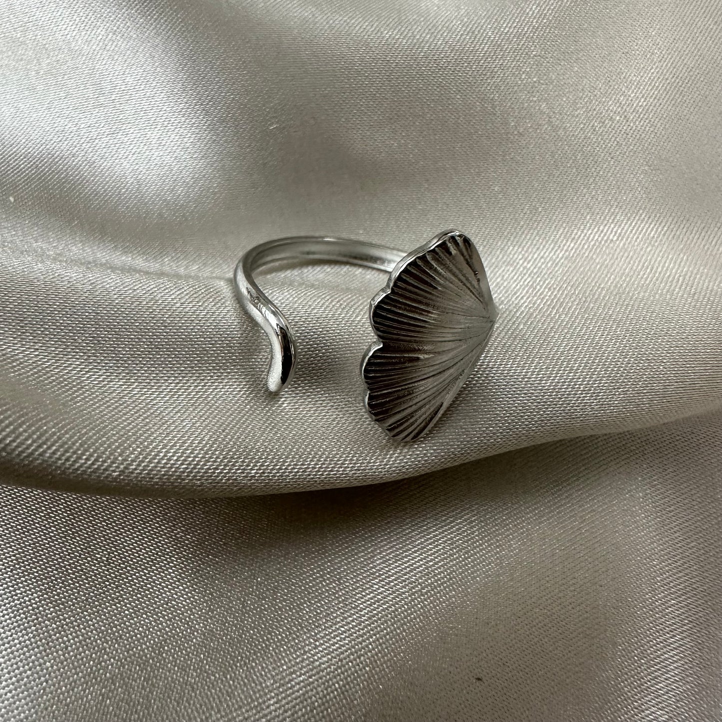 Anillo Bruselas